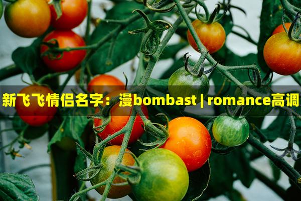 新飞飞情侣名字：漫bombast | romance高调